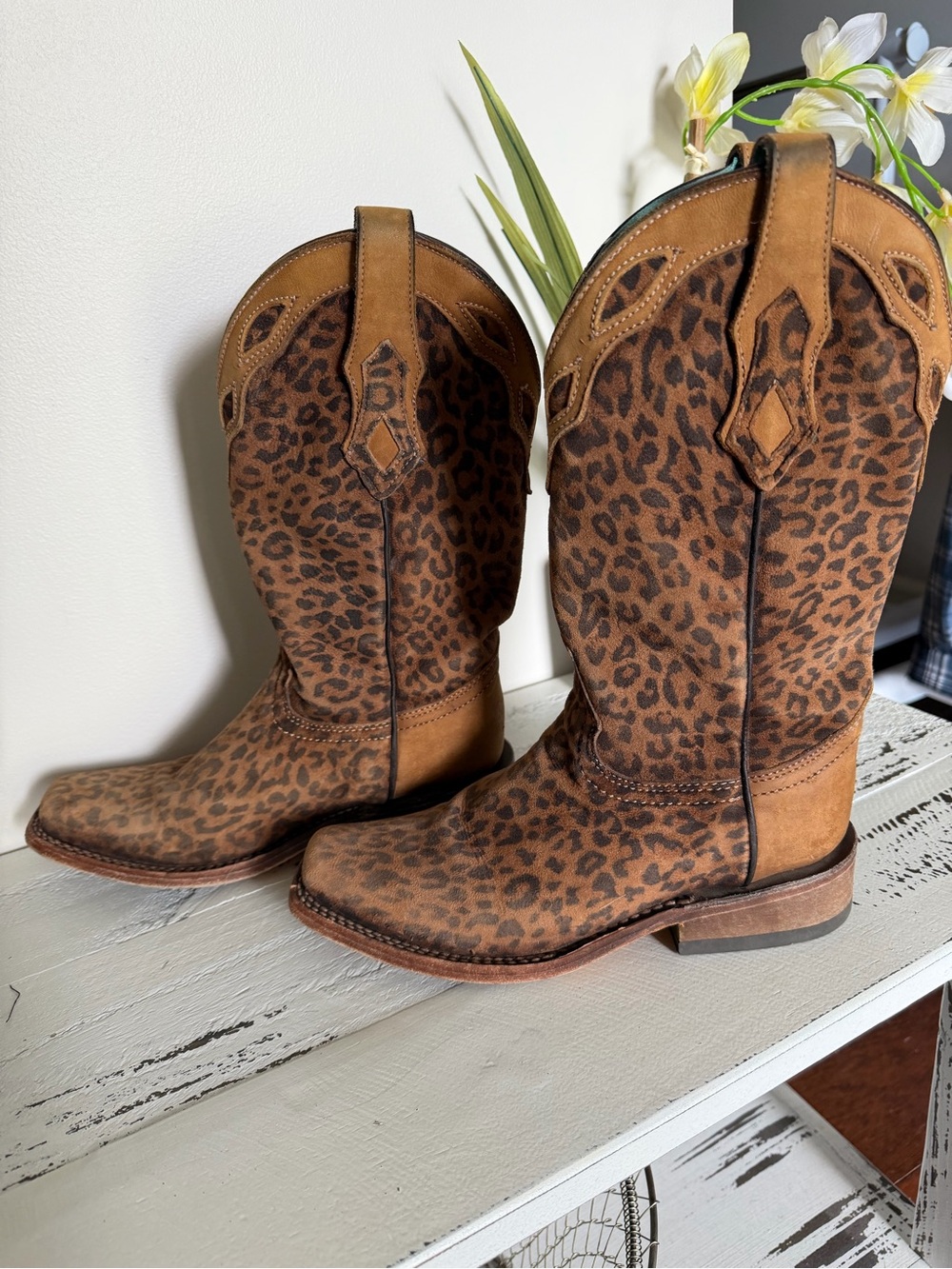 Corral Leopard Print Western Heeled Boots for Women